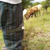 Accesorios Pantalones Cargo Verdes  - 4